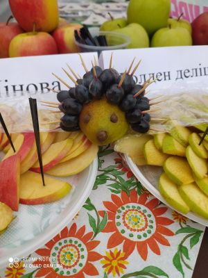 изображение_viber_2021-09-27_21-55-28-337