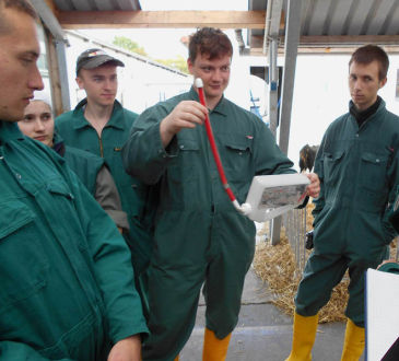 1. Теоретический курс кормления телят