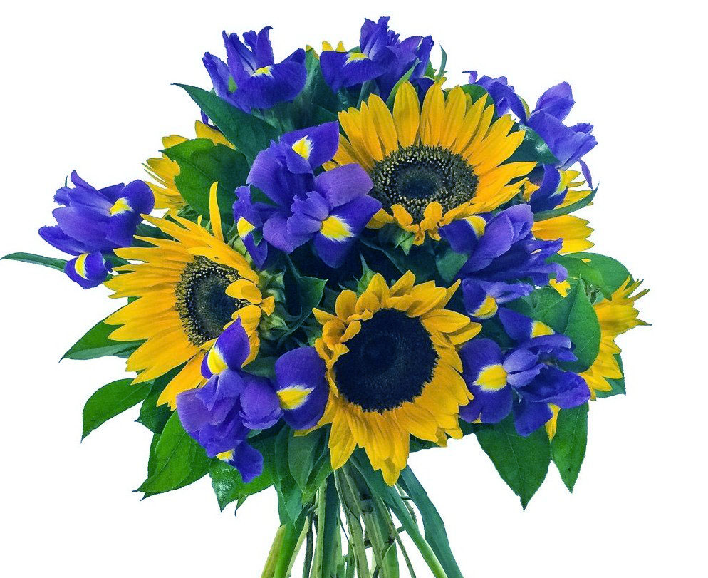 3054-Qrkij-buket-iz-podsolnuhov-i-irisov