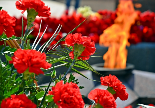 8a04a0dd2cd7426f848554c0ab37a8aa