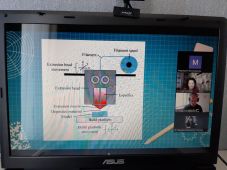 изображение_viber_2022-05-21_11-25-19-153