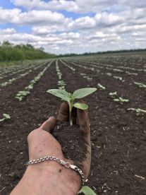 0-02-05-80c642eca395e2983689f3d8ce1d2342ff343c23be368c5d675002018058ad6f_d99086b1