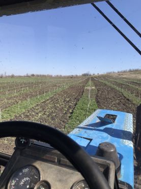 0-02-05-d3f32a0e9de0eafb45d252f58acd40fcf5ddf15b49d3aeff37494341fdf1ad65_8069cc87