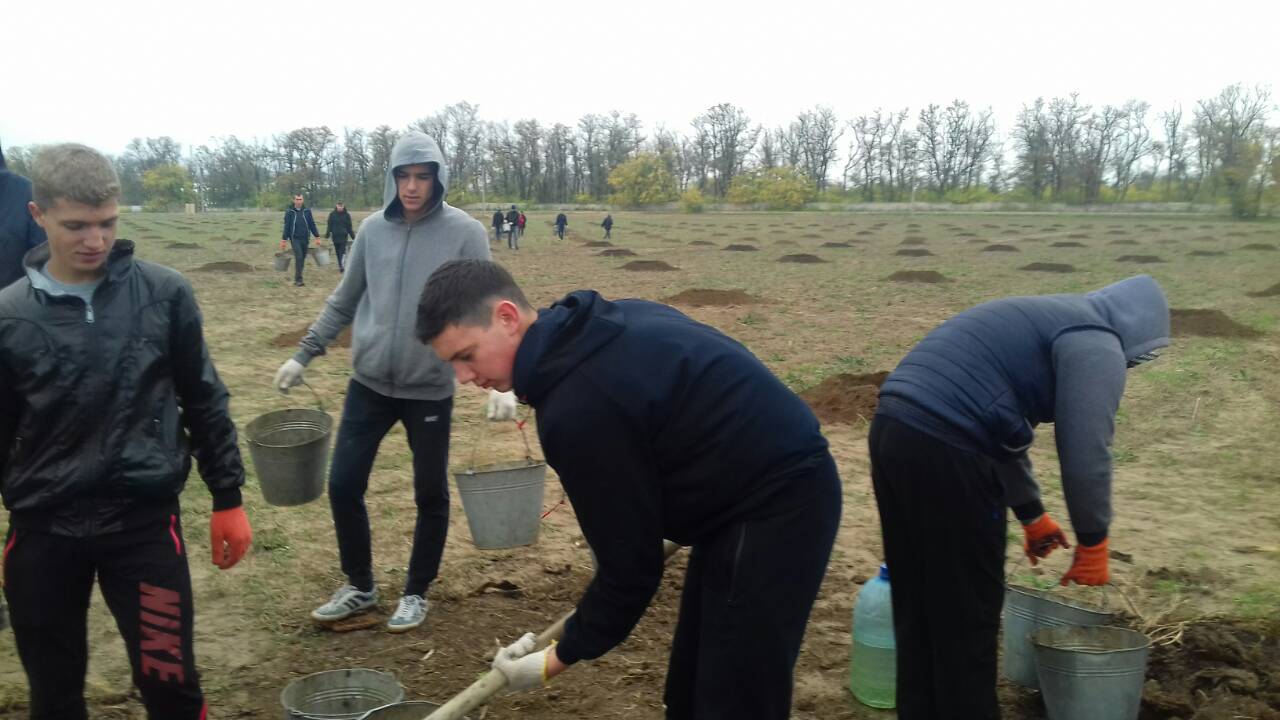 IMG-1a7447df81839889b957413b5cee3e7b-V