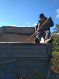 IMG-ce2aa214e03cadcd8ac2d0a817004b82-V