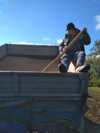 IMG-ce2aa214e03cadcd8ac2d0a817004b82-V