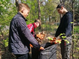 IMG-ec4eb97b2ad0da437068a528c988f702-V