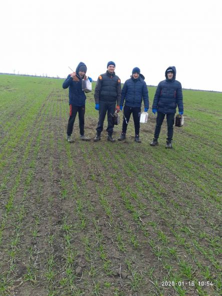 IMG-efd5d4eaa9c9db44cb7ef0b795c875c7-V