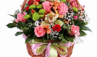 14698610_images_1872587090