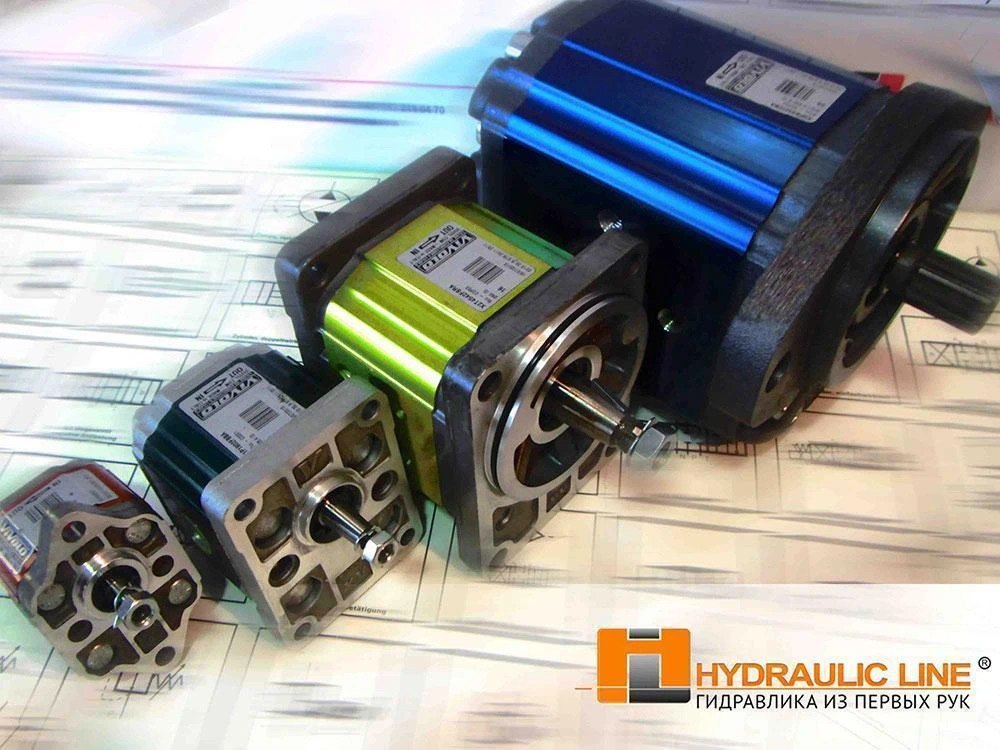 photo_1_2025-10-23_12-33-00