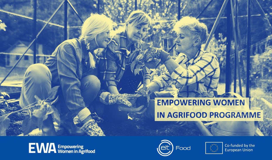 photo_2_2025-11-05_09-31-57