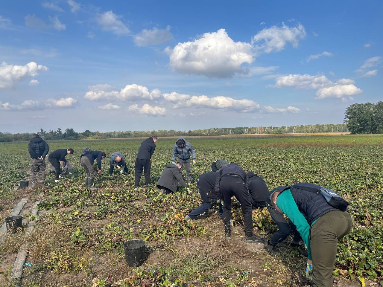 photo_4_2025-09-30_10-13-16
