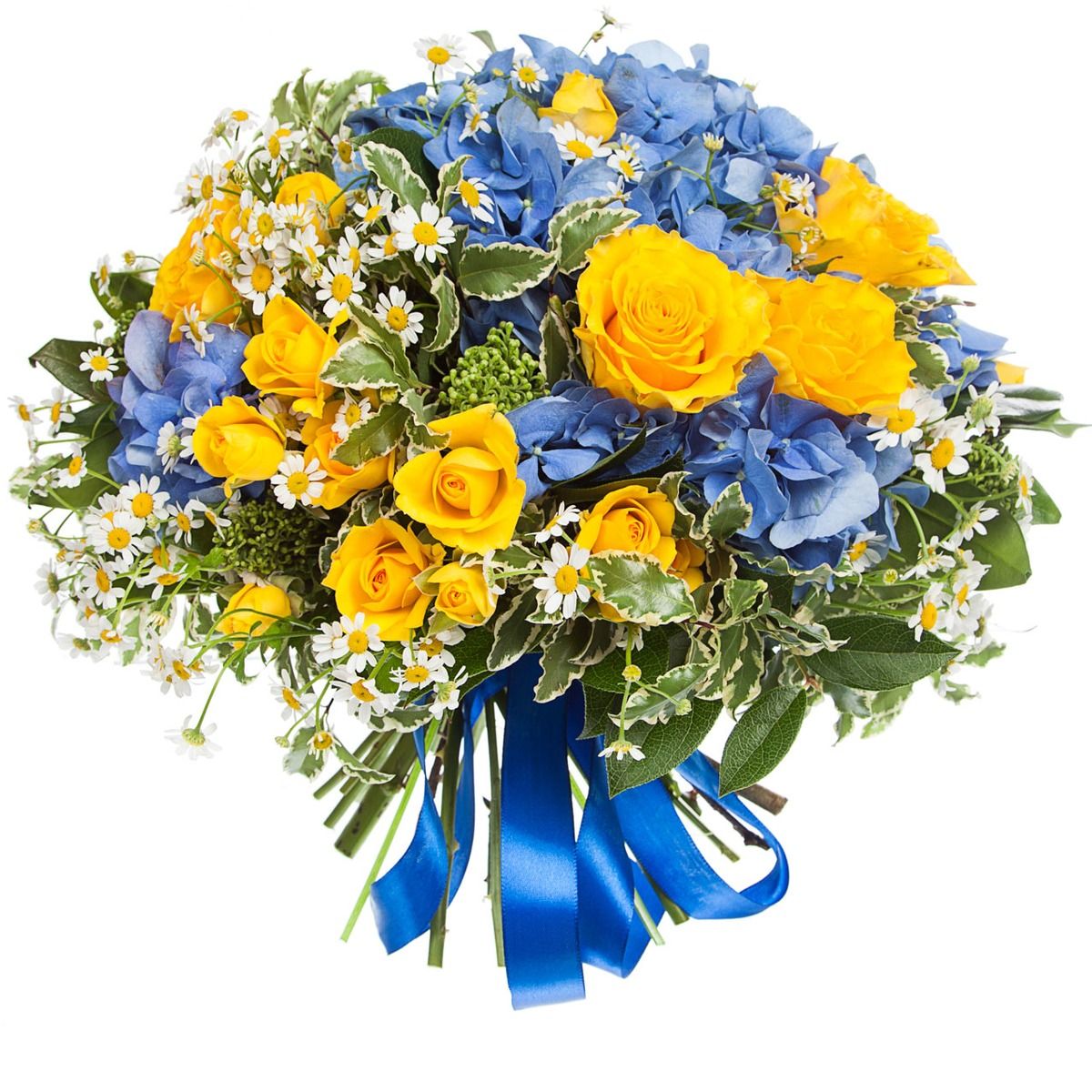 sinie-gortenzii-v-romashkah-i-zheltye-rozy-60-sm-buket-iz-romashek-gortenzii-zheltyh-roz-v-zeleni-37-sht-gollandiya-