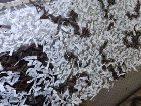 photo_2025-10-27_22-26-07