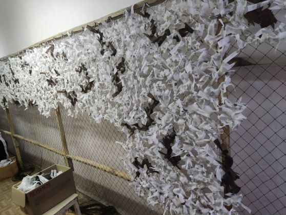 photo_2025-10-27_22-26-13