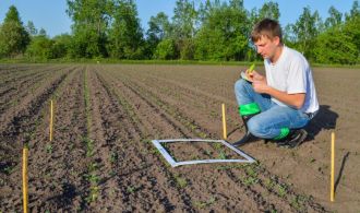 1663323351_54-mykaleidoscope-ru-p-sadovii-agronom-oboi-60