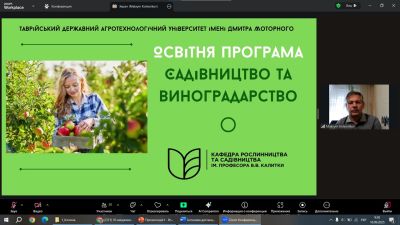 Безымянный 3