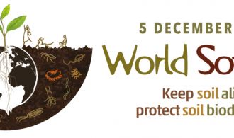 День грунту