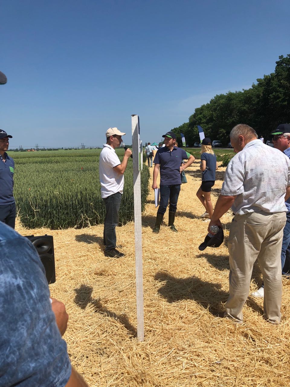 IMG-163ec0f86594a98edffeba7a6300b050-V