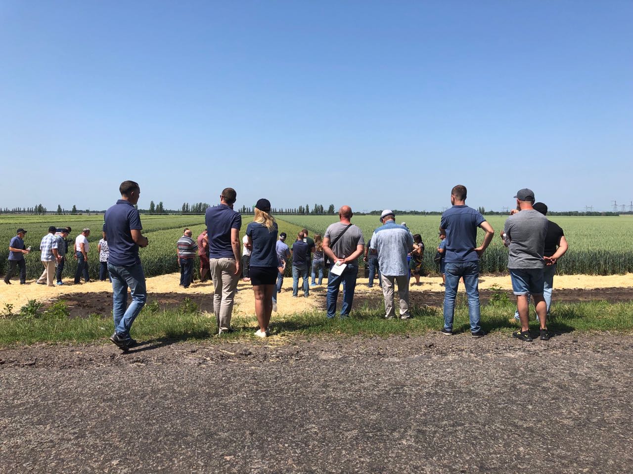 IMG-8d069f01e5437e3f203d88270db63e12-V