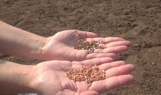 IMG_20200925_132316_1