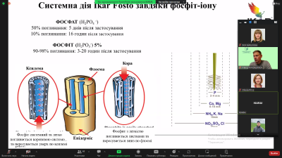 Снимок экрана (72)