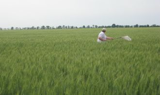 Изображение 004