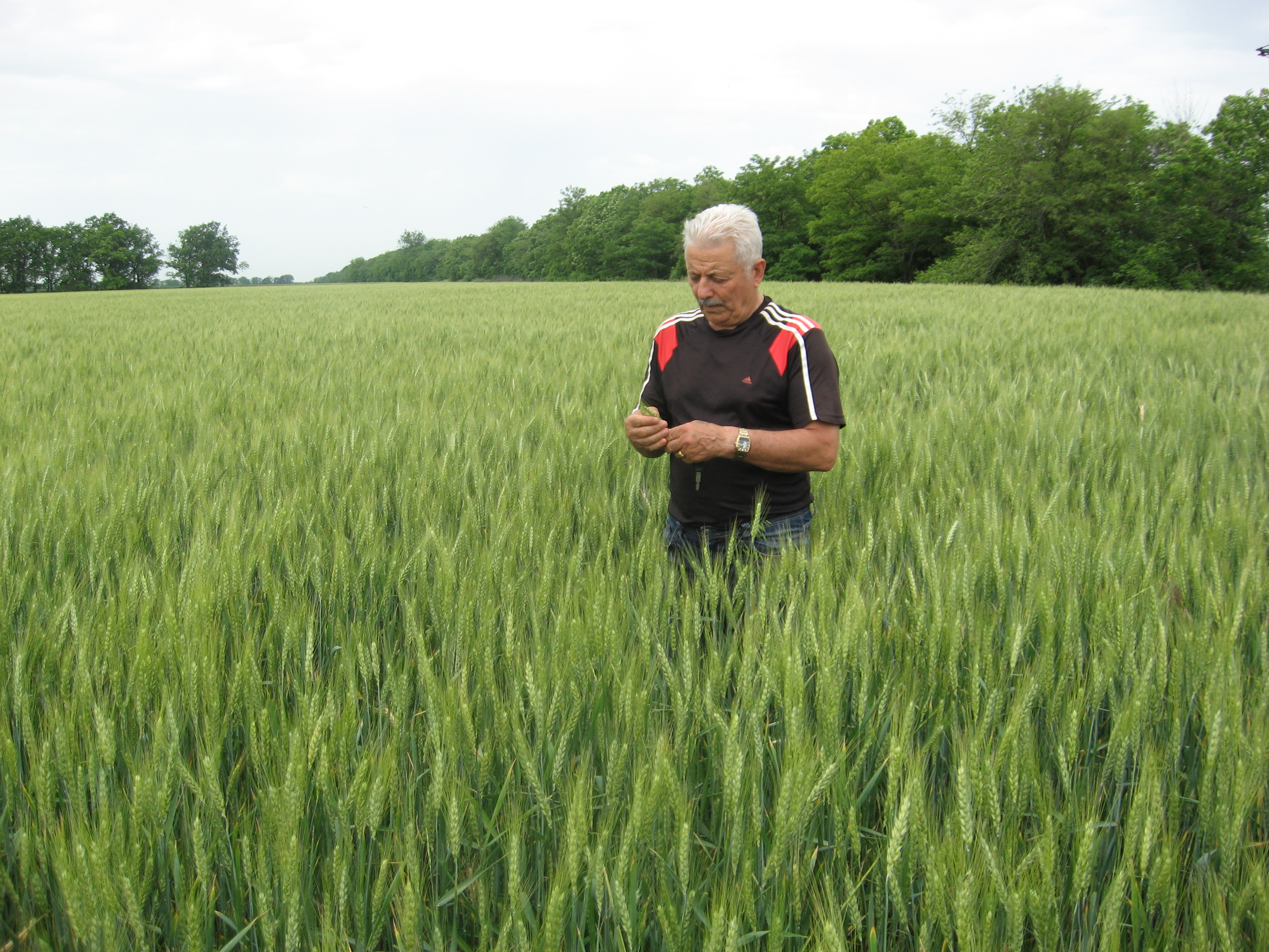 Изображение 006