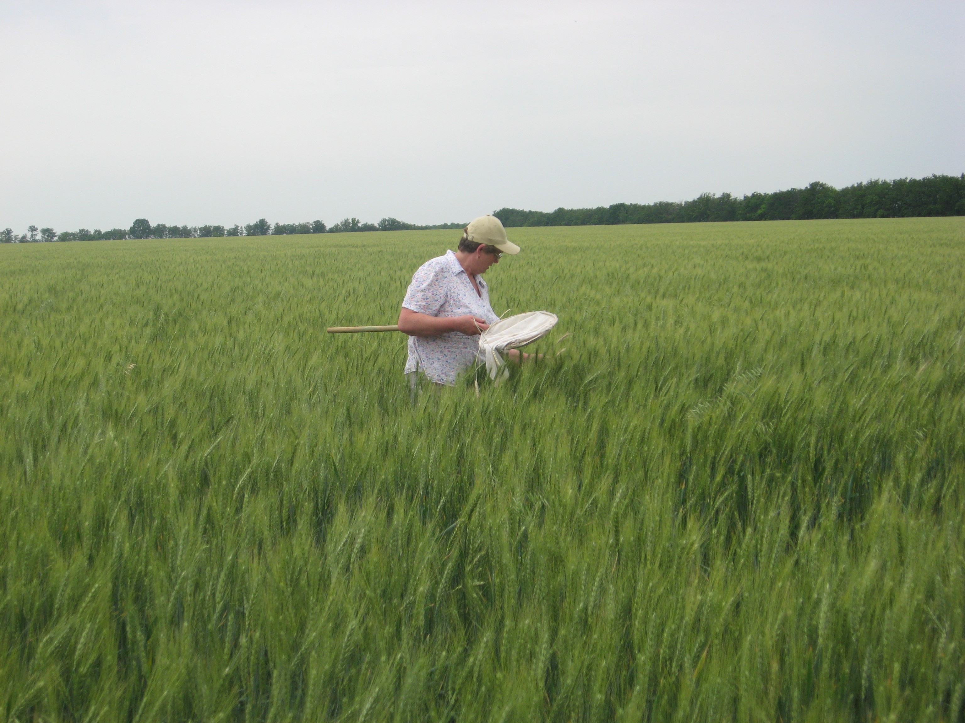 Изображение 007