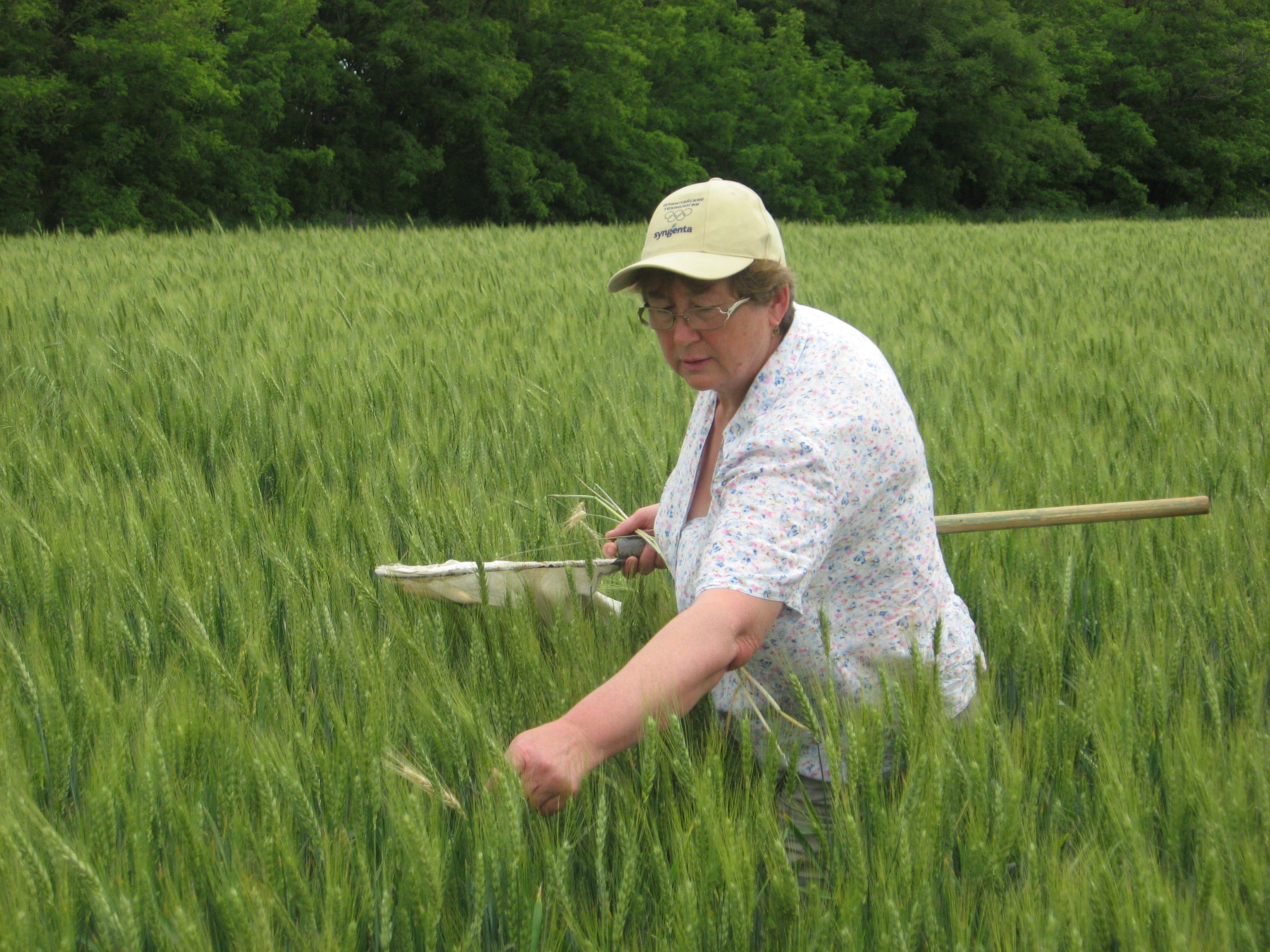 Изображение 010