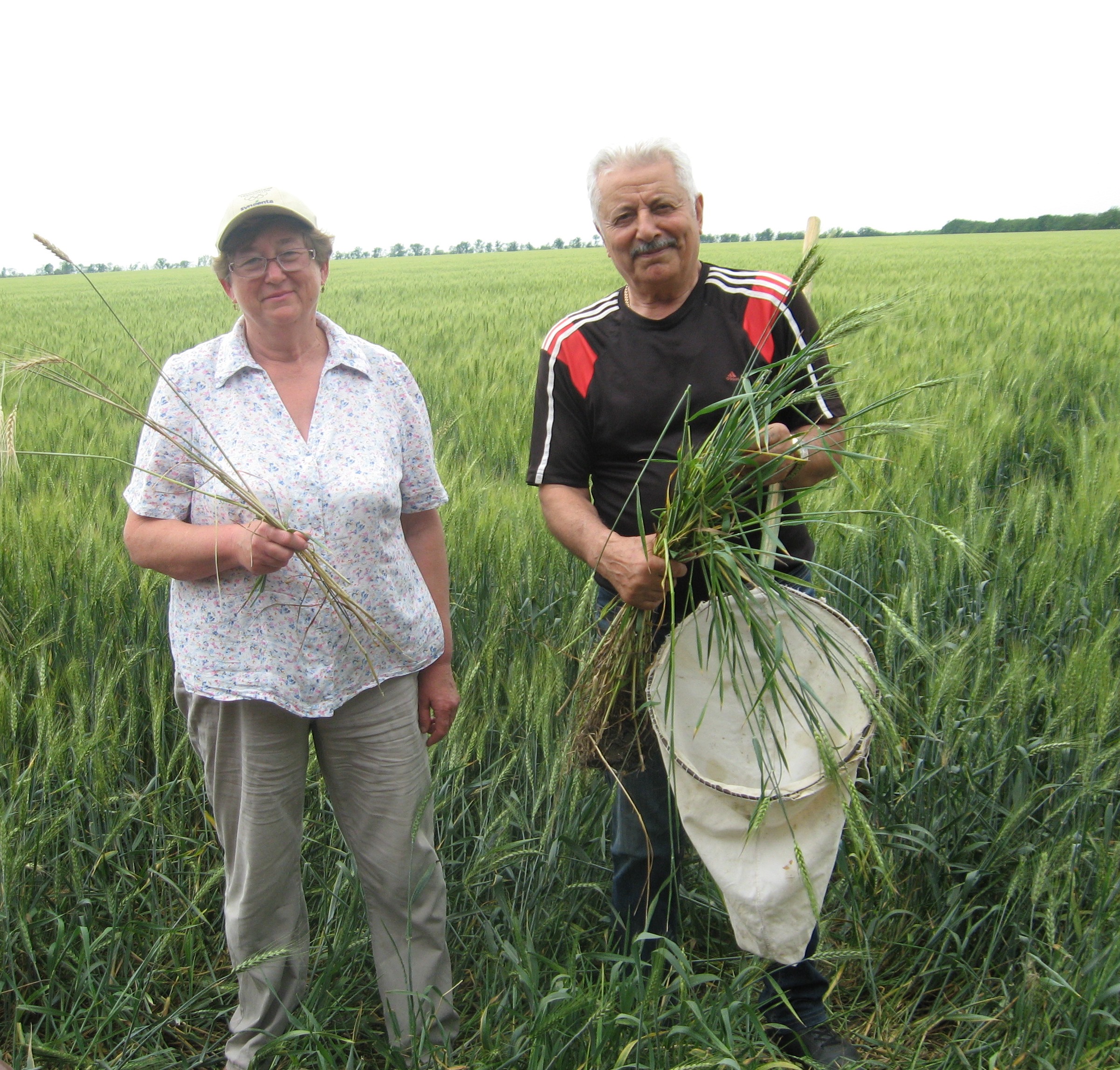 Изображение 014