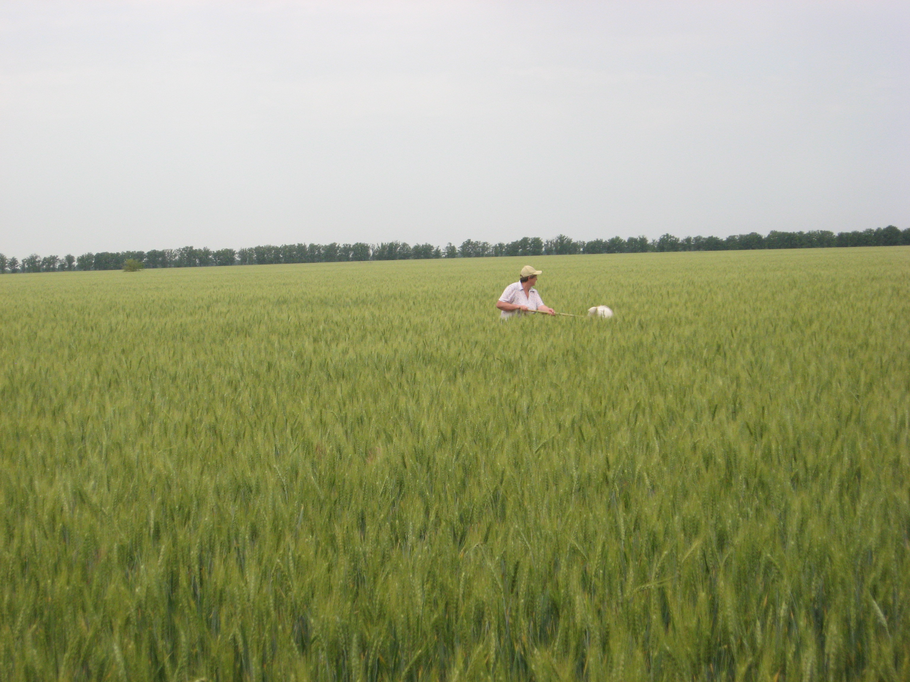 Изображение 015