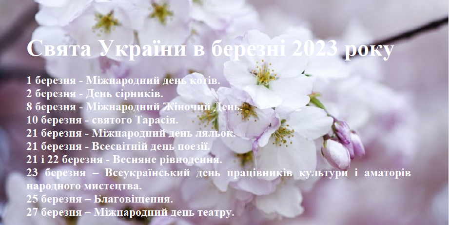 image_2023-03-01_11-29-53