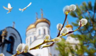 Palm Sunday. Willow branch  with catkins on the background of Orthodox church and the flying pigeons
