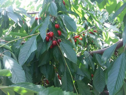 0-02-0a-14dfa42cf08d2d331a4b0d971e1df2b475da8813dfbcbdccff131af1e603bec5_7ce1489e