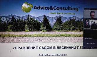 вебинар Италия