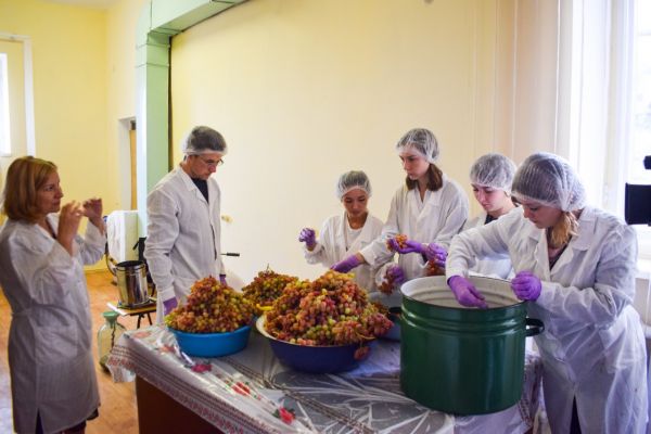 0-02-04-ea90e19bb4f836fc8151399b0b6302de139c9677c4f208eb16f974cf263c953f_d821d8ad