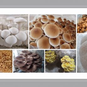 0-02-05-35b06e413a7fc6a9df10056bb7ec380167ae19d9f8673baeffd6242955b494af_55a853bd6bffa1fa