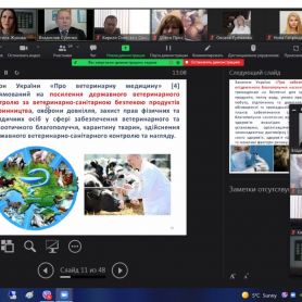 0-02-05-9f6751146229a055dd277600c080db209df65369f5659c7badb93ea170f34428_20de4f4a809d42b5