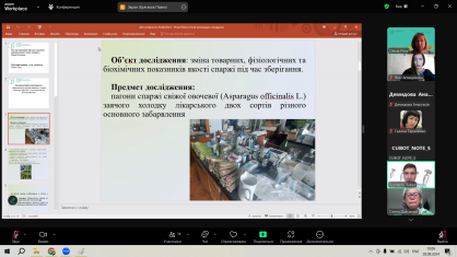 Безымянный1