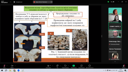 Безымянный1111укк555