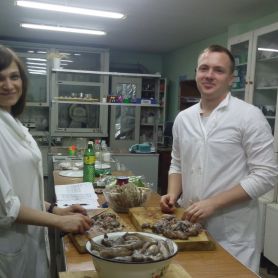 изображение_viber_2020-06-16_08-00-36