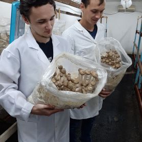 изображение_viber_2020-06-16_08-00-53