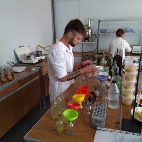 изображение_viber_2020-06-16_08-01-1