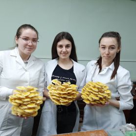 изображение_viber_2020-06-16_08-01-56