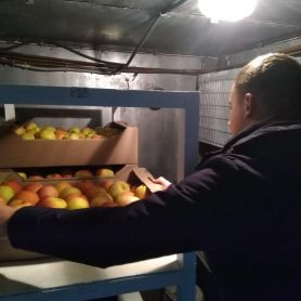 изображение_viber_2020-06-16_08-01-59