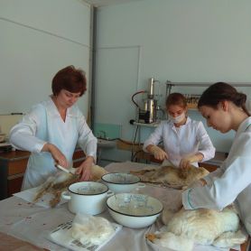 изображение_viber_2020-06-16_08-02-10