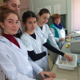 изображение_viber_2020-06-16_08-02-12