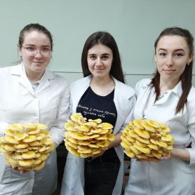 изображение_viber_2020-07-17_11-58-221