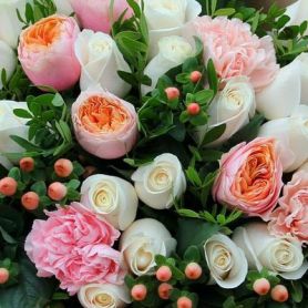 изображение_viber_2020-12-01_21-20-49